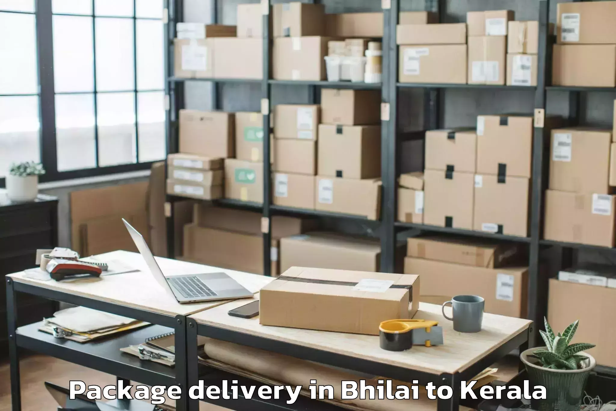 Leading Bhilai to Naduvannur Package Delivery Provider